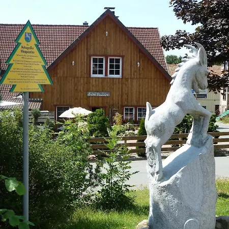 Selbstversorger-fewo In Hohegeiss Mit Terrasse Und Eigenem Eingang